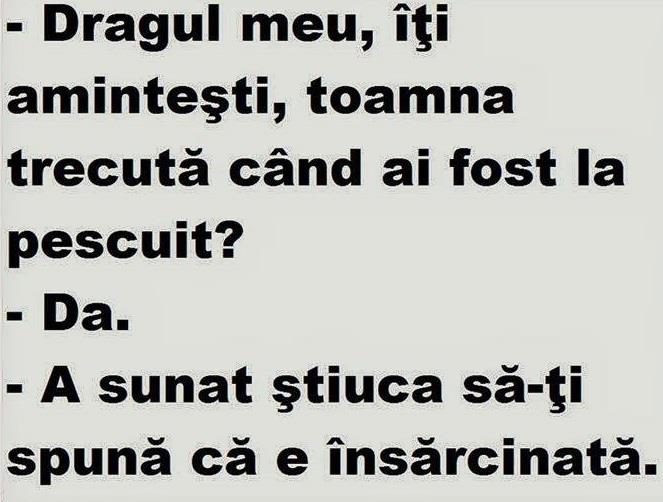 DIVERSE - stiuca.jpg